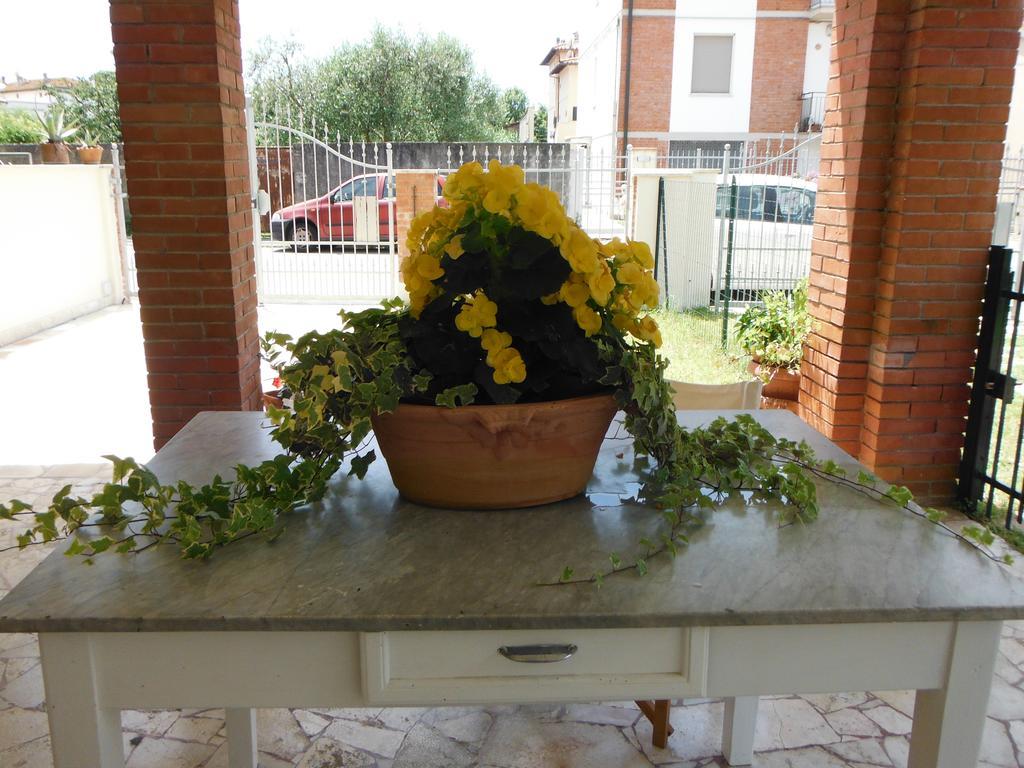 La Casa Di Nila Apartment Pisa Luaran gambar