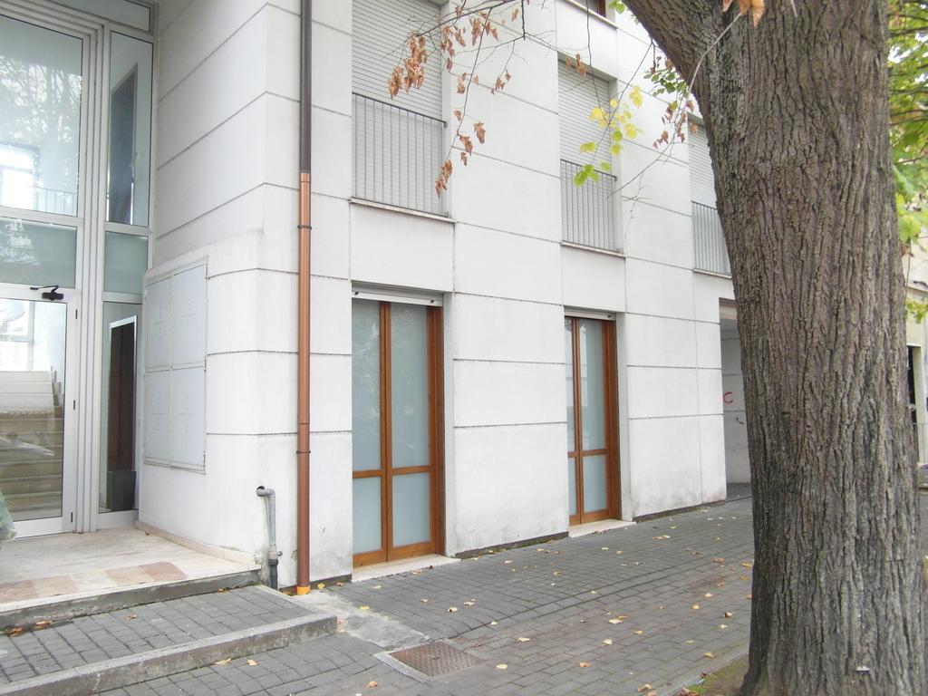 La Casa Di Nila Apartment Pisa Luaran gambar