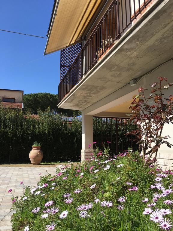La Casa Di Nila Apartment Pisa Luaran gambar
